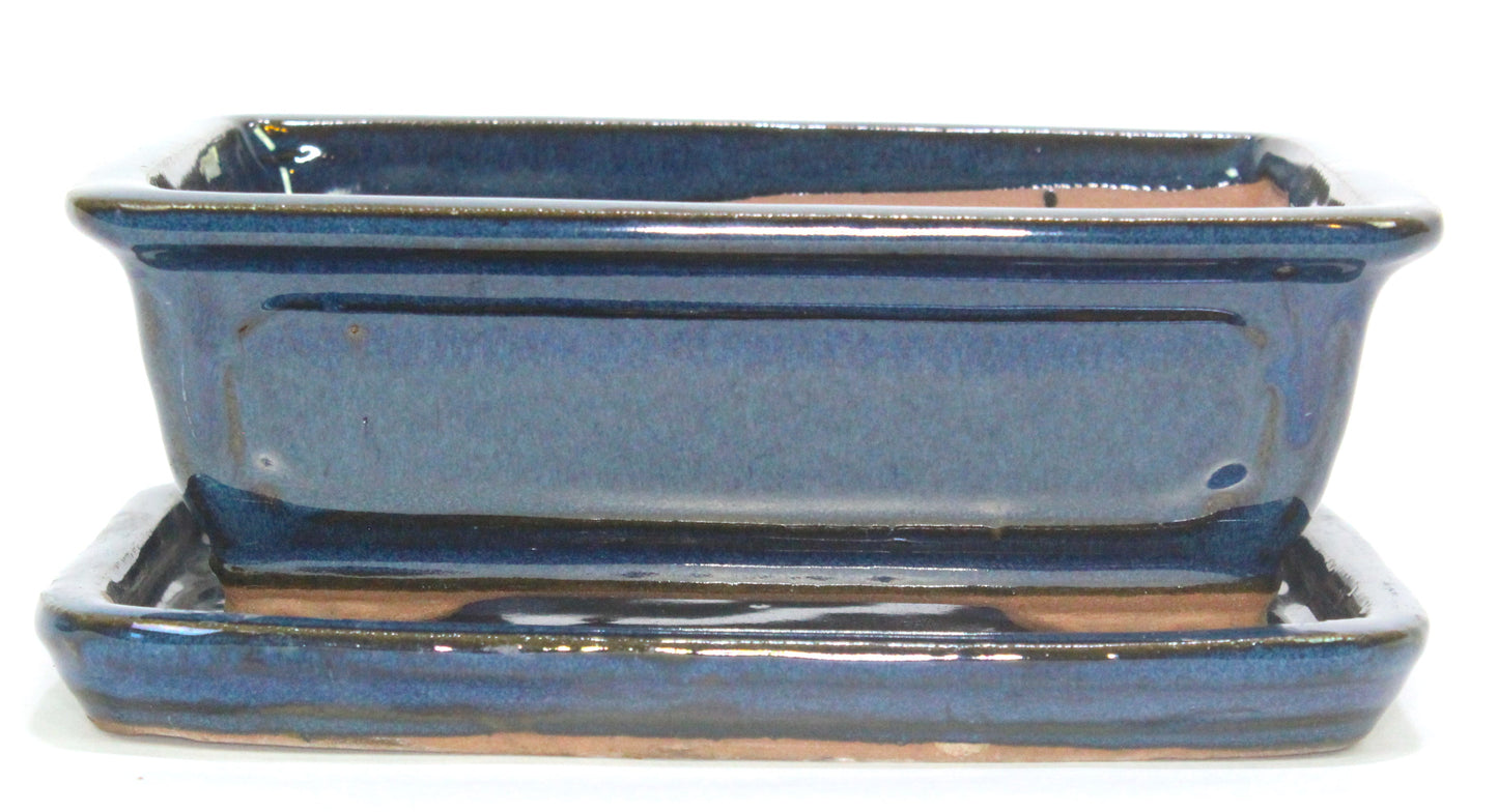 Quality Bonsai Pots with matching drip trays - ideal for first repot from a 15cm Blue pot